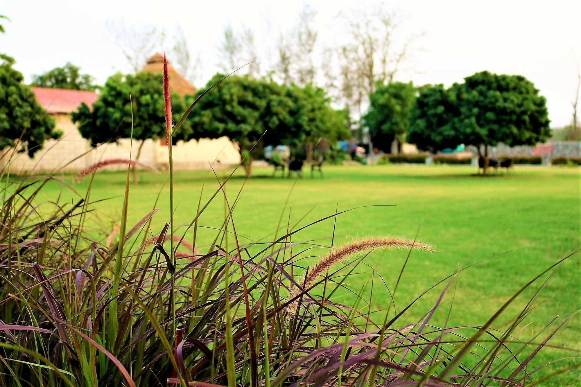 Palette Alaya Resort, Corbett Nainital Esterno foto